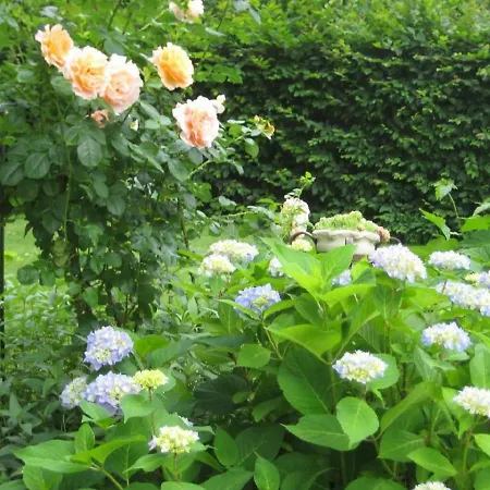 Gaestehaus Brunner